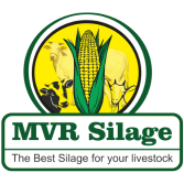 MVR silage